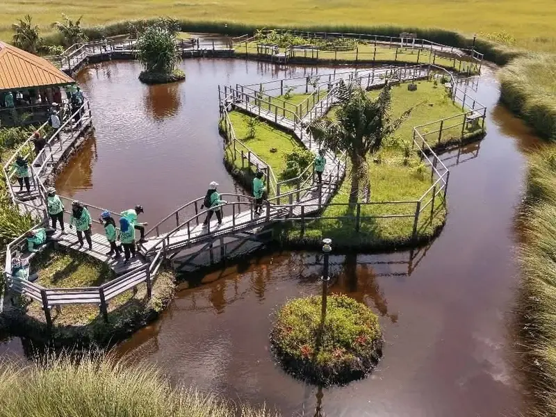 Aerial view of a wetland boardwalk in Addu with riders on it