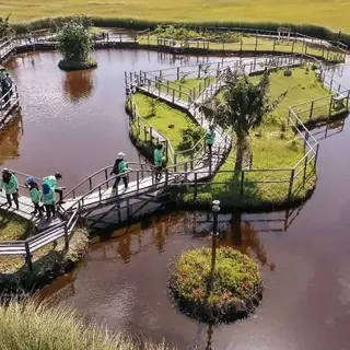 Aerial view of a wetland boardwalk in Addu with riders on it