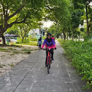 Rider on a leafy park path